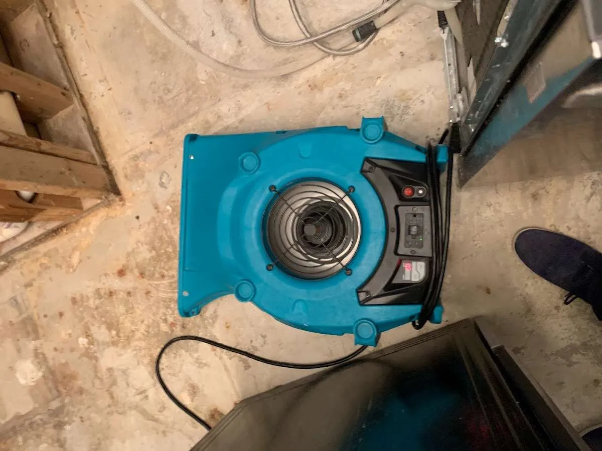 Air mover drying equipment for Mold Remediation & Removal in Kingston